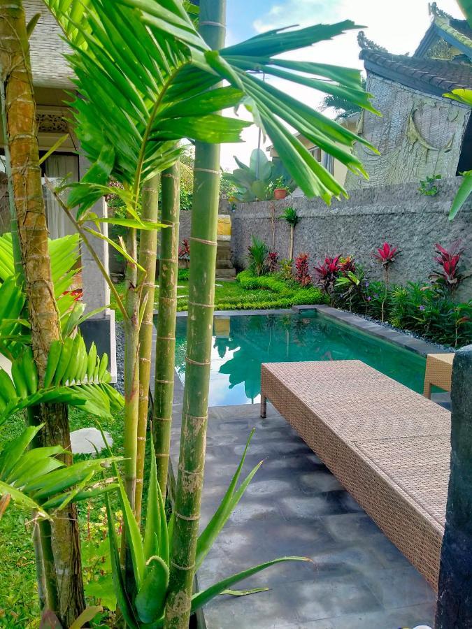 Willa Wita House Ubud Zewnętrze zdjęcie